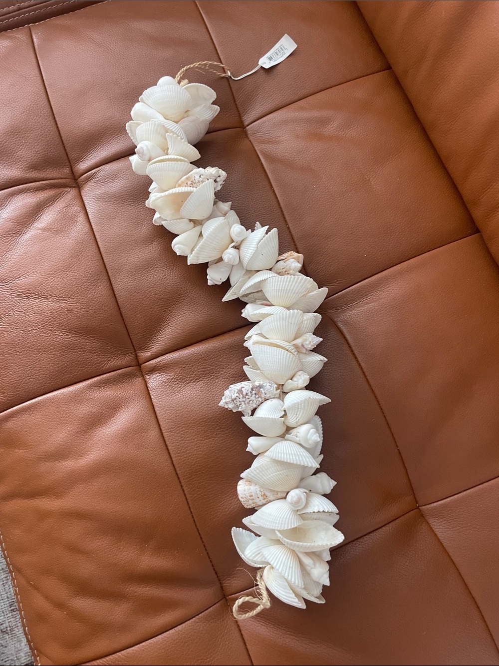 Shell Decor Strand - Picture 5 of 7